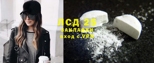 индика Заволжье