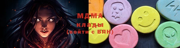 индика Заволжье