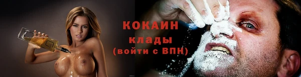 индика Заволжье