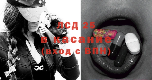 индика Заволжье