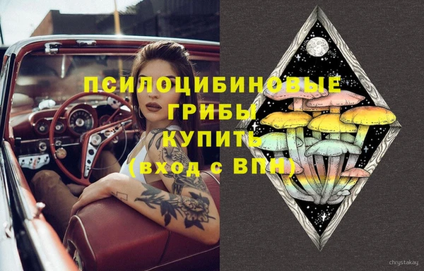 гашик Заволжск