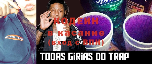 индика Заволжье