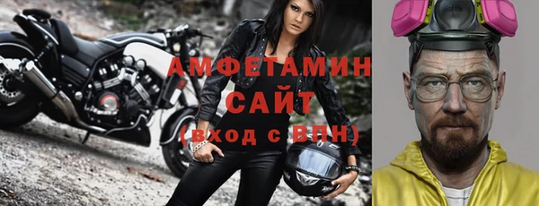 индика Заволжье
