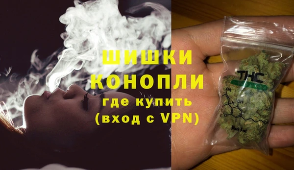 индика Заволжье