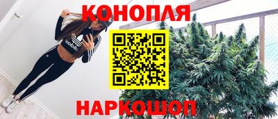 гашик Можга