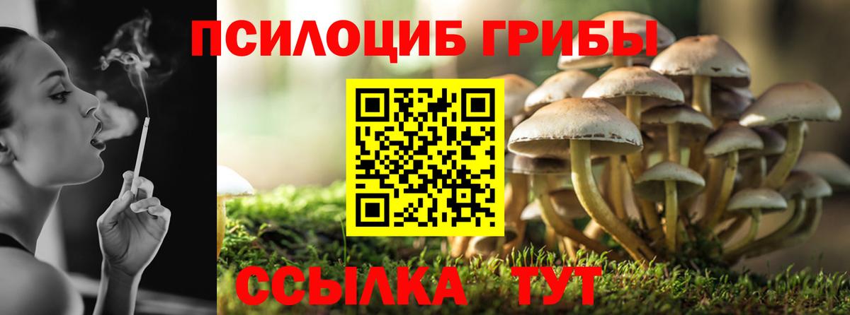 Россия  Галлюциногенные грибы мицелий  Псилоцибиновые грибы мицелий  Вход с VPN 